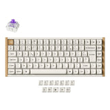 Keychron K2 HE Wireless Magnetic Switch Custom Keyboard ISO Layout Collection