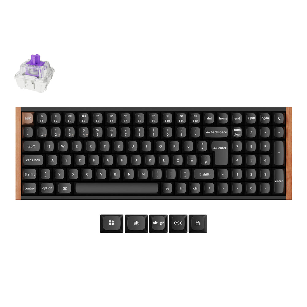 ISO Cherry Profile Dye-Sub PBT Full Set Keycap Set - Developer (Versio ...