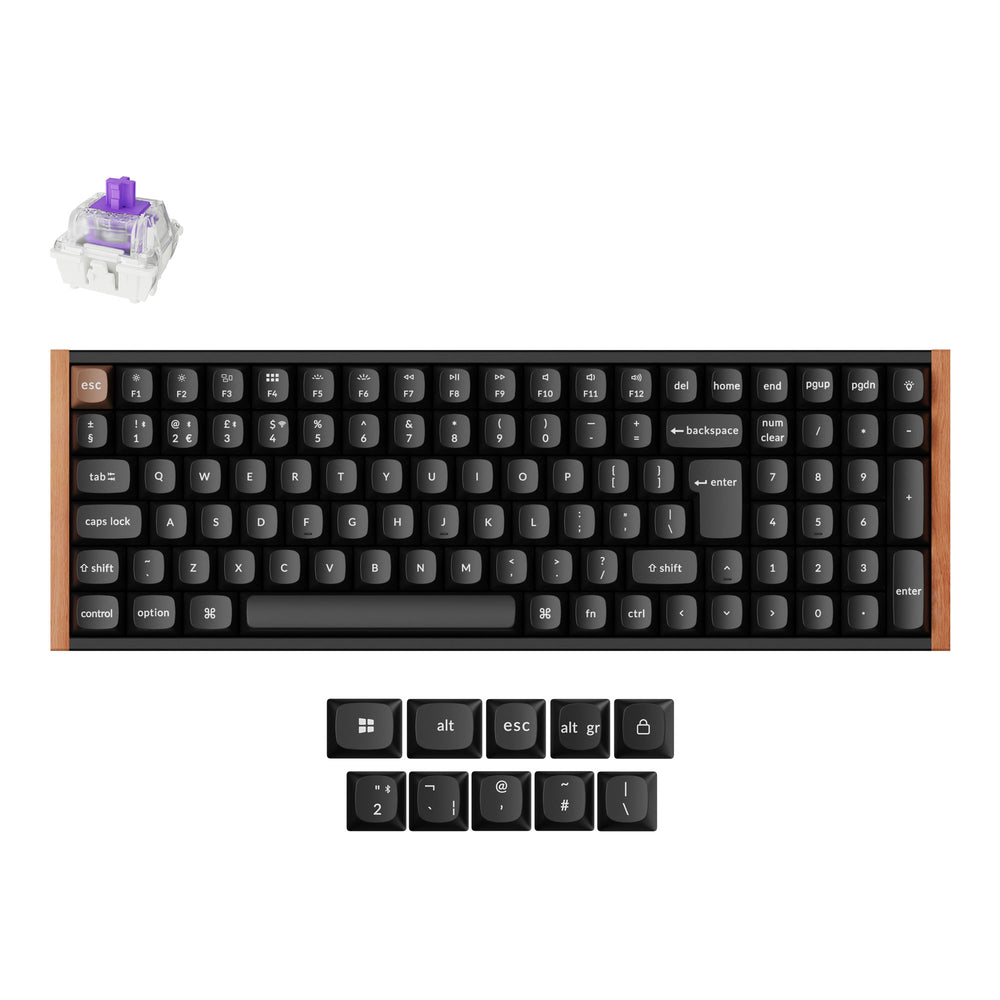 ISO Cherry Profile Dye-Sub PBT Full Set Keycap Set - Developer (Versio ...