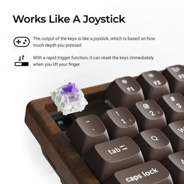 Keychron K8 HE Wireless Magnetic Switch Custom Keyboard - All-Wood Special Edition (US ANSI Layout)