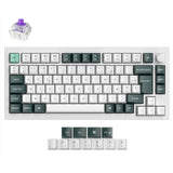 Keychron Q1 HE QMK Draadloos aangepast toetsenbord ISO-indelingscollectie